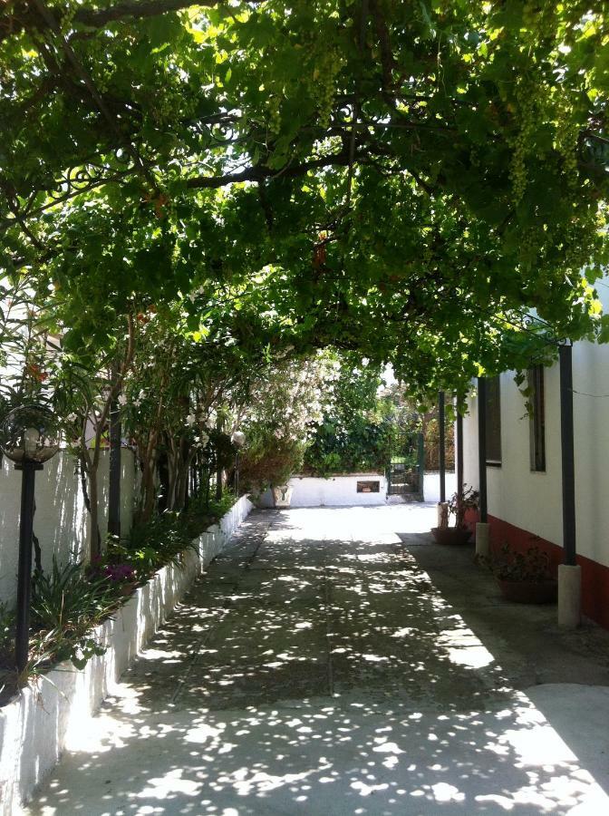 Casa Vacanze Paestum - Cilento Exteriör bild